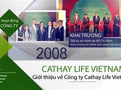 Tập Đoàn Tài Chính Cathay Life Việt Nam Lừa Đảo